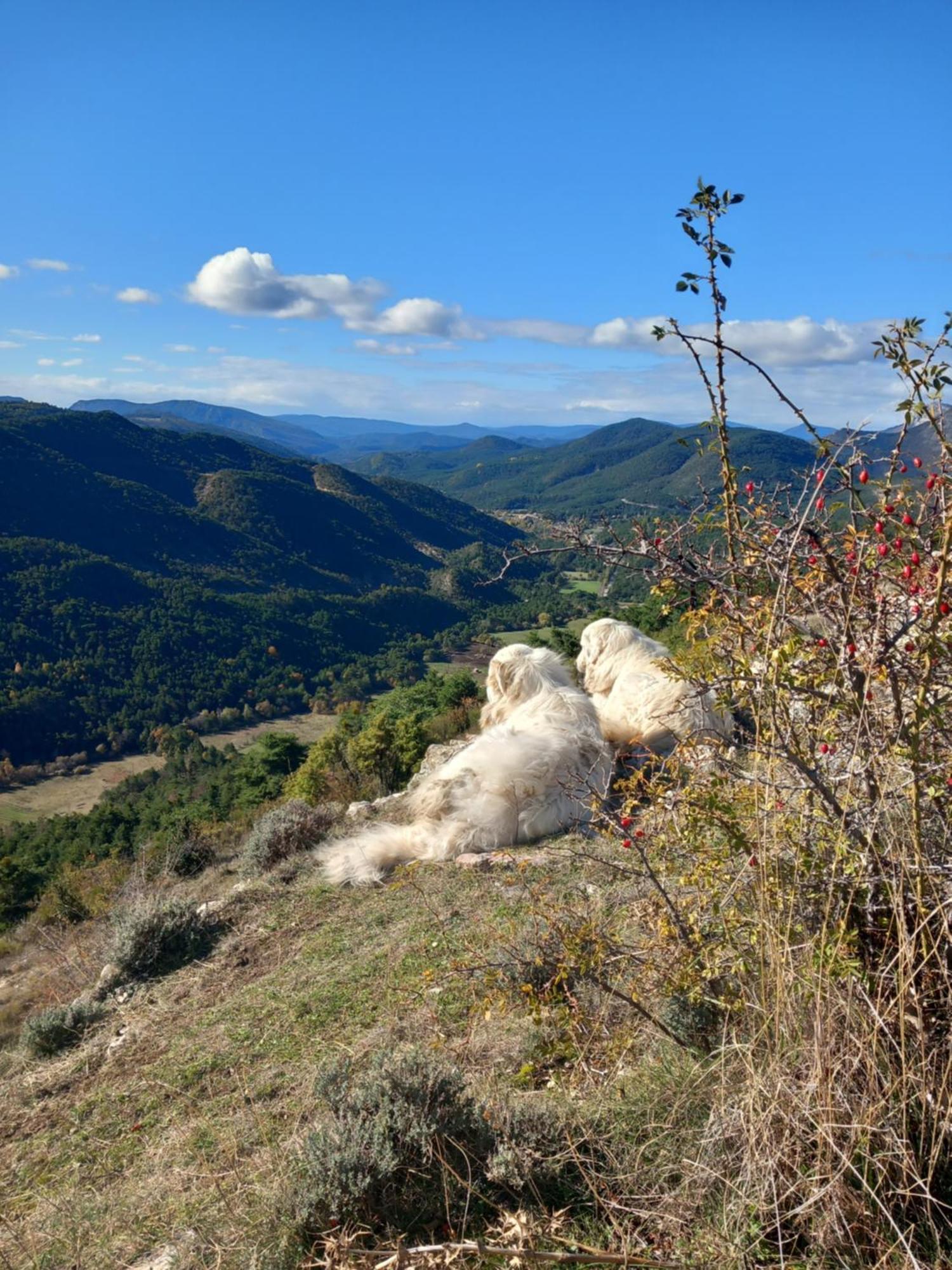 Gite La Mountagna Peyroules Dış mekan fotoğraf